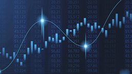 Defying cost volatility: A strategic pricing response