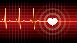 The heartbeat of modern marketing: Data activation and personalization