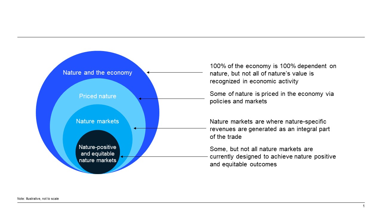 The state of nature markets today and tomorrow
