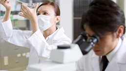 Spotlight on Japan
