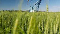 The oil & gas supply chain returns to growth after more than two years